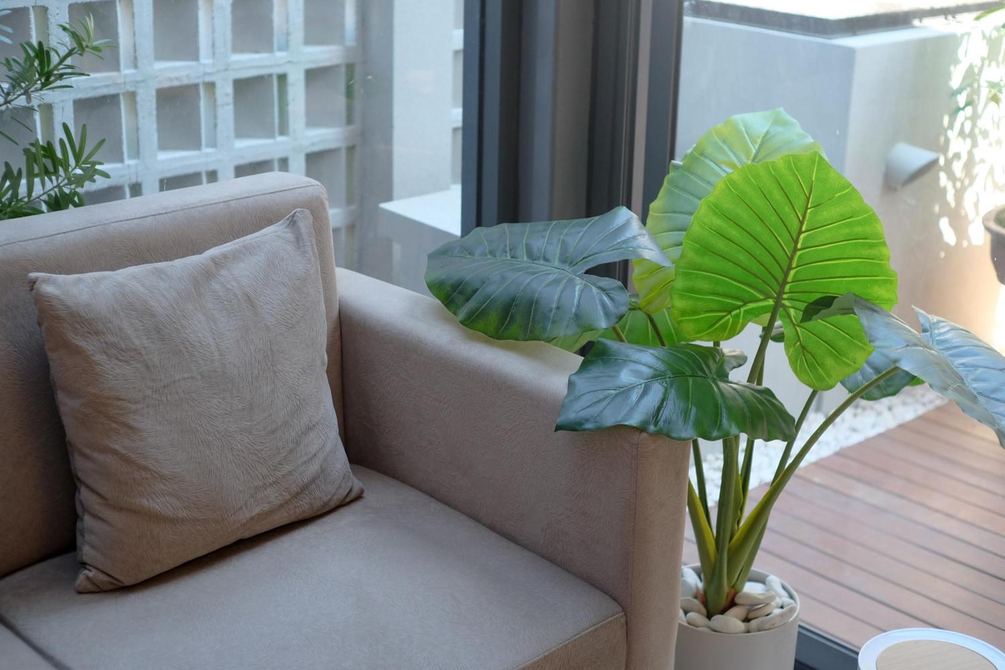 Sans Hotel Rg Living Jogja By Reddoorz Pakualaman Luaran gambar